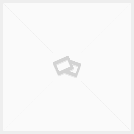Disposable Socks